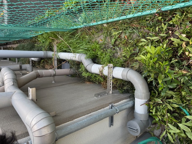 2025.4.20 排水管改修前