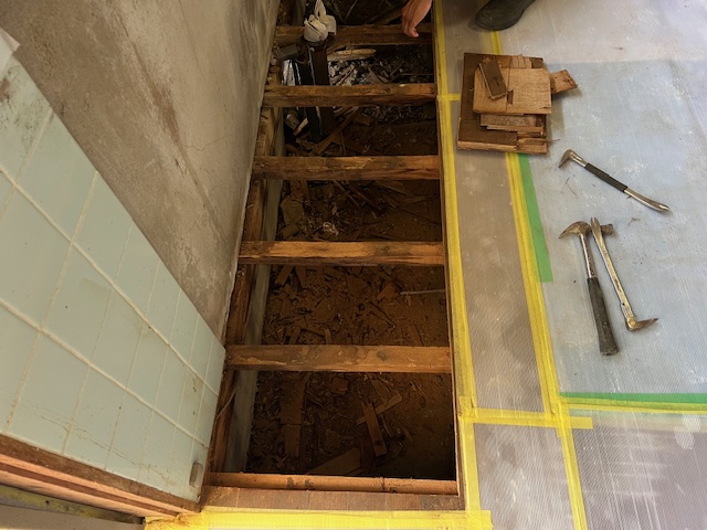 2024.6.20 床剥がし